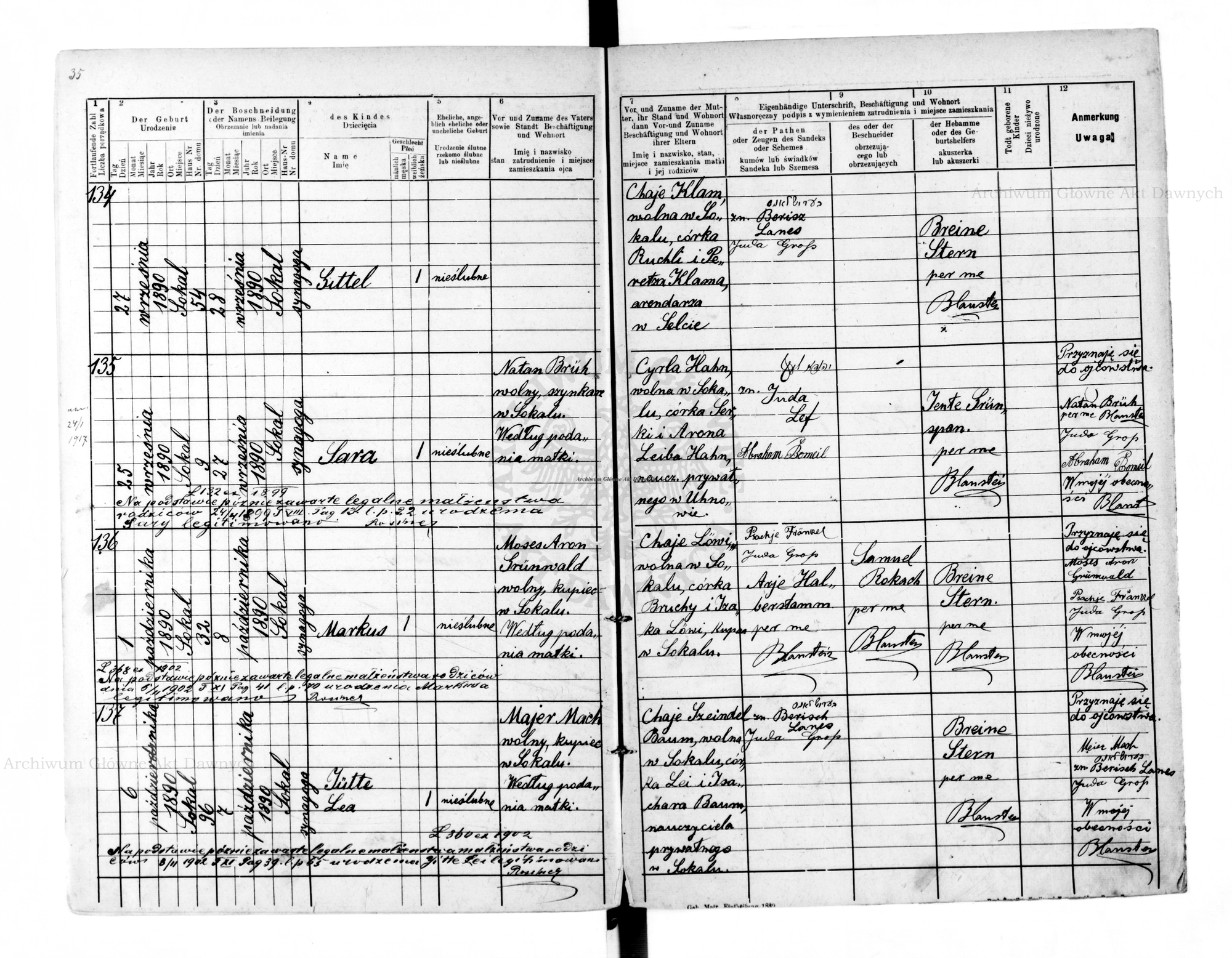 Sara Bruh birth record 1890