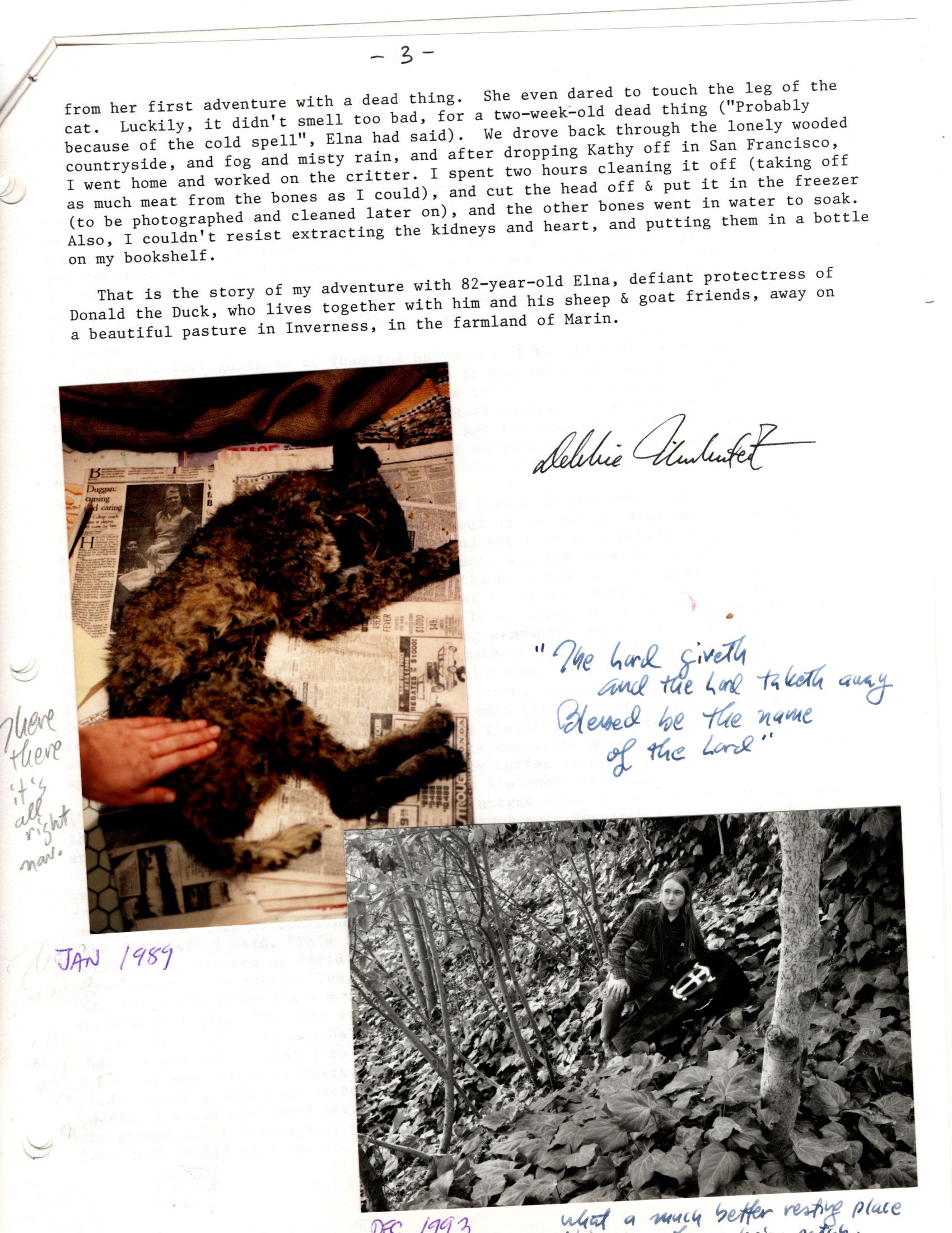 Bobcat adventure story pg 3